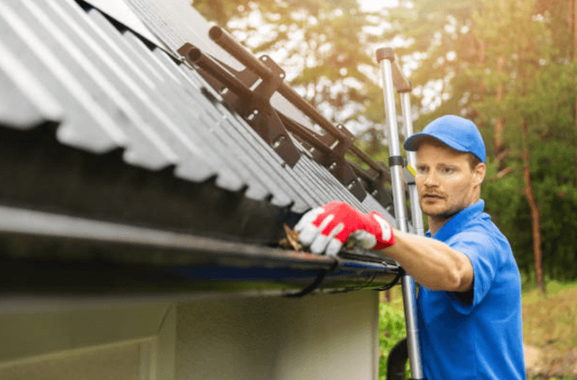 littleton gutter service